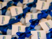 Pet Grooming Cuiab� re�ne profissionais e fortalece o mercado de est�tica animal em Mato Grosso